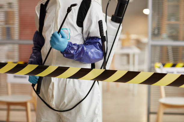 Professional Sewage Cleanup technician working in Milton, NY